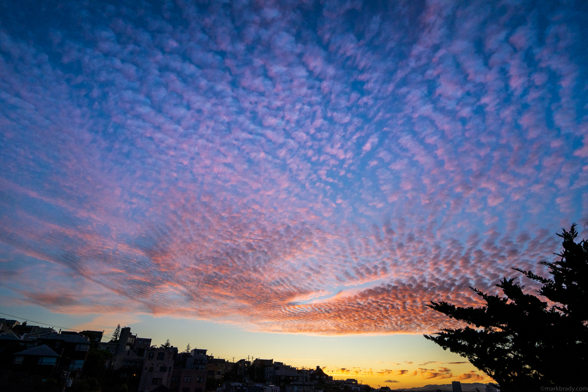 Sunsets in San Francisco